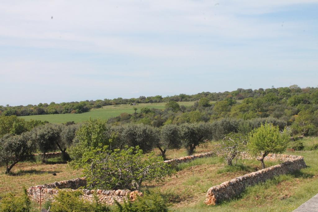 B&B Masseria Cappotto Laterza Exterior foto